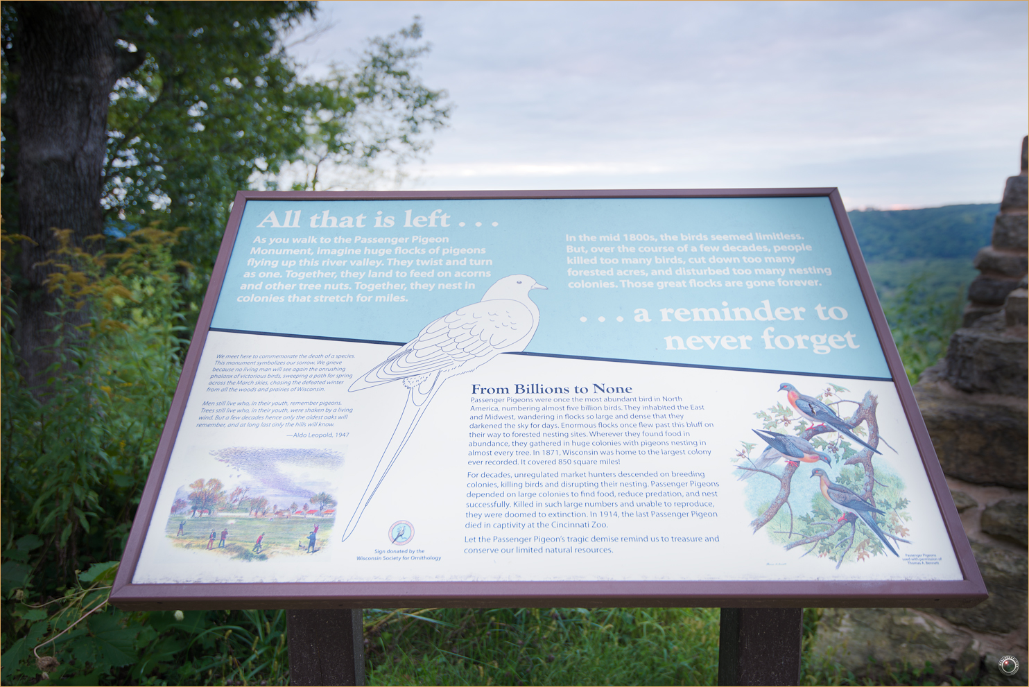 164 Wyalusing State Park Passenger Pigeon Monument