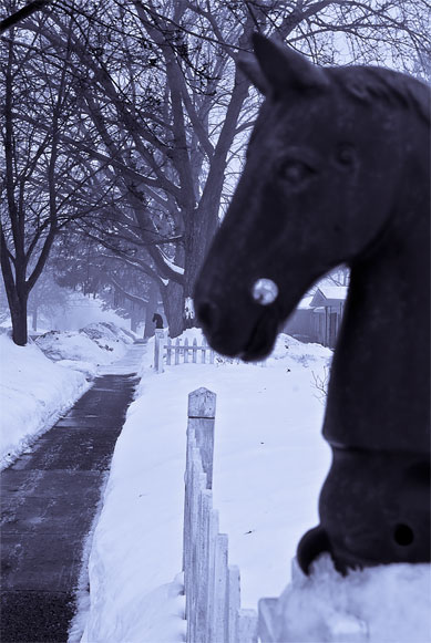 Twin Horses