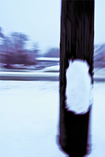 Walkin' and Snappin'