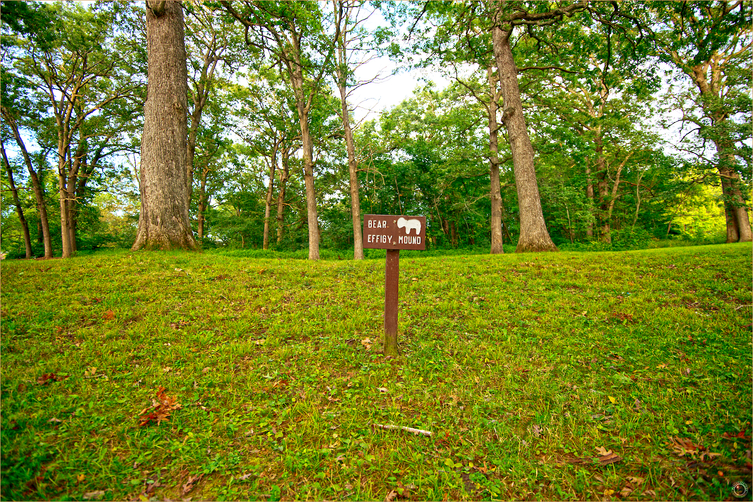 53 Wyalusing State Park Wisconsin Indian Effigy Mound