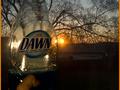 Dawn