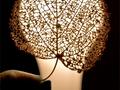 Leafy Light