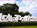Lollapalooza 2011